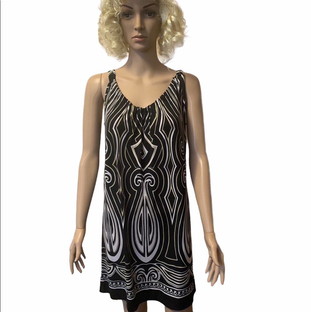 WHBM beautiful dress for any occasion.